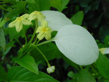 �R�������J