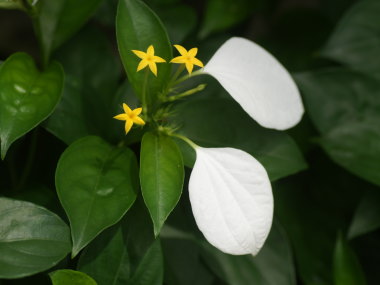 �R�������J