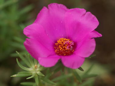 �}�c�o�{�^��