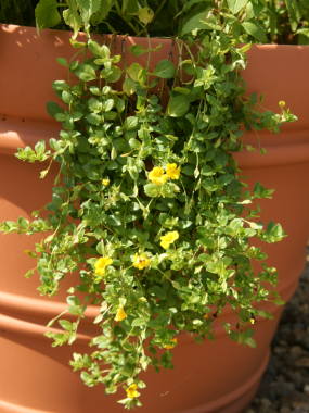 ���J���h�j�A