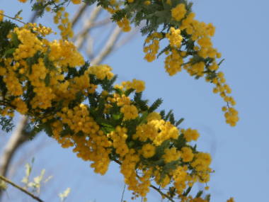 �~���U�A�J�V�A