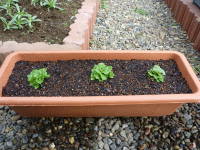 ��A�i�~�����X�j