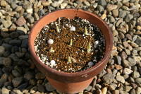 �A���t��2�������i�~�j�A�C���X�j