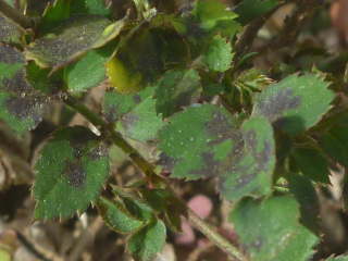 �����a�i�~�j�o���j