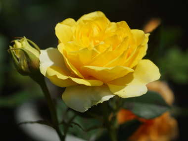 �~�j�o���i���F�j