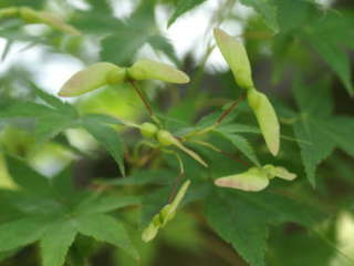 ���~�W�̐���