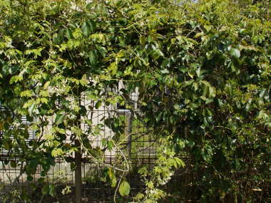 ���x�̐��_