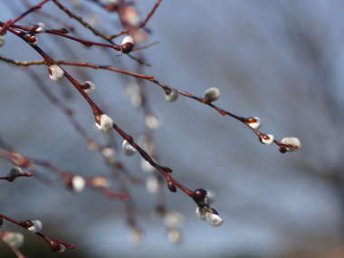 �l�R���i�M