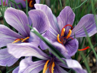 �T�t����