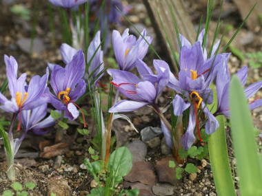 �T�t����