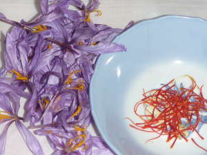 �T�t�����̎��n