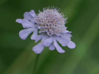 �}�c���V�\�E