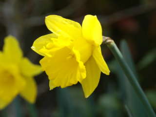 ���b�p����