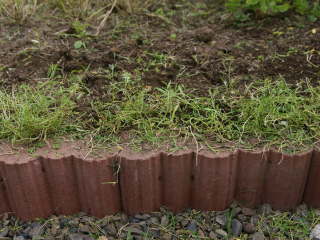 �Z�����荞�񂾁i�X�C�[�g�A���b�T���j