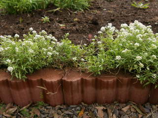 ���荞�݌�̊J�ԁi�X�C�[�g�A���b�T���j