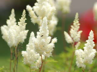 �A�X�`���x