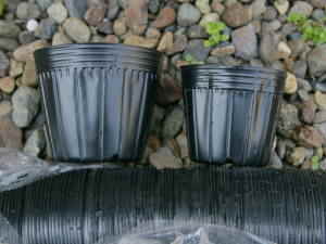 �|���|�b�g