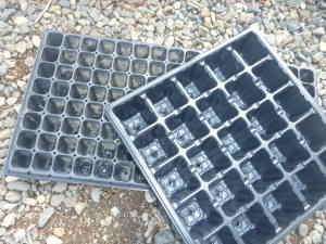 �Z���g���C