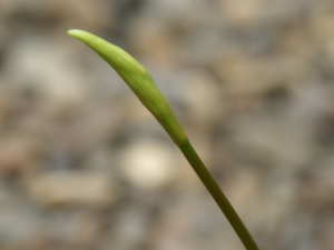 �_�C�������h�����[���Q