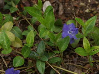 �q���c���j�`�\�E