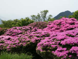 �~���}�L���V�}