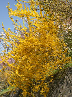 �����M���E