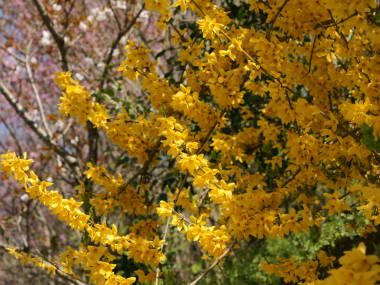 �����M���E