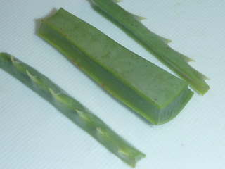 �L�_�`�A���G�̉ʓ�