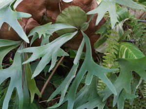 �r�t���J�c��