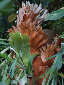 �E�B�����L�[�̒����t