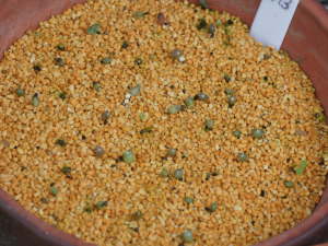 �T�{�e���̔���